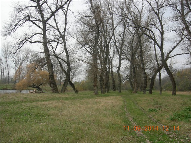 arčilend